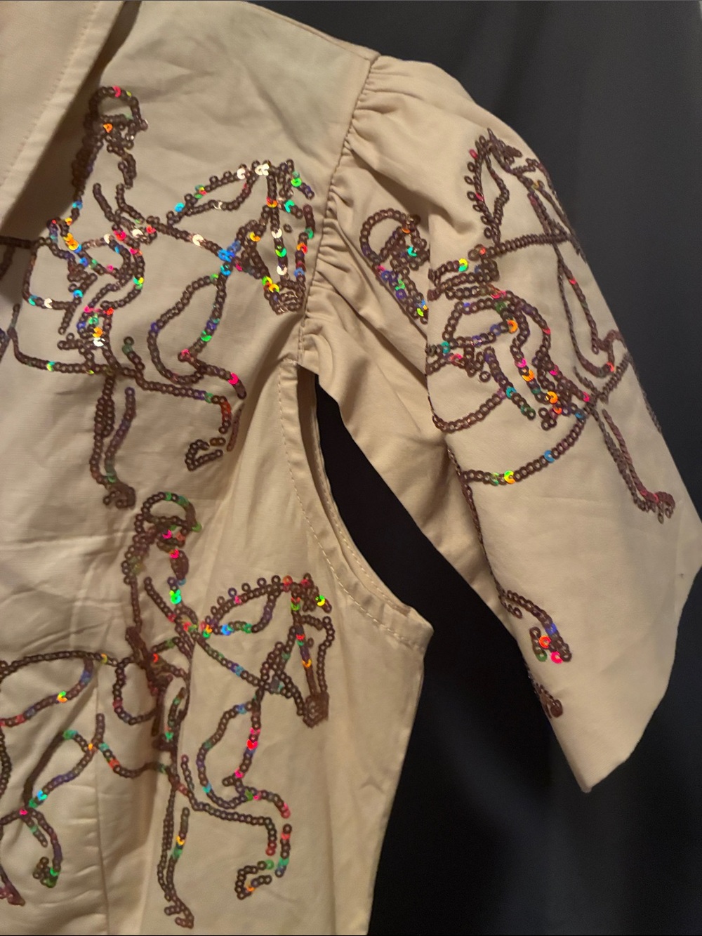 Beaded Equestrian Embroidered Tan Shirt Dress - Picture 4 of 5